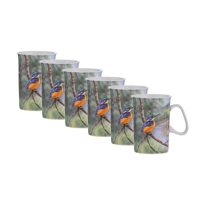 6x Ashdene Aus Small Birds Drinking Mug Cup Kingfisher Animal Photography