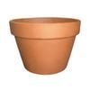 Northcote Pottery 110mm Terracotta Italian Squat Pot