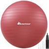 METEOR Red 45-55cm Yoga Ball with Pump