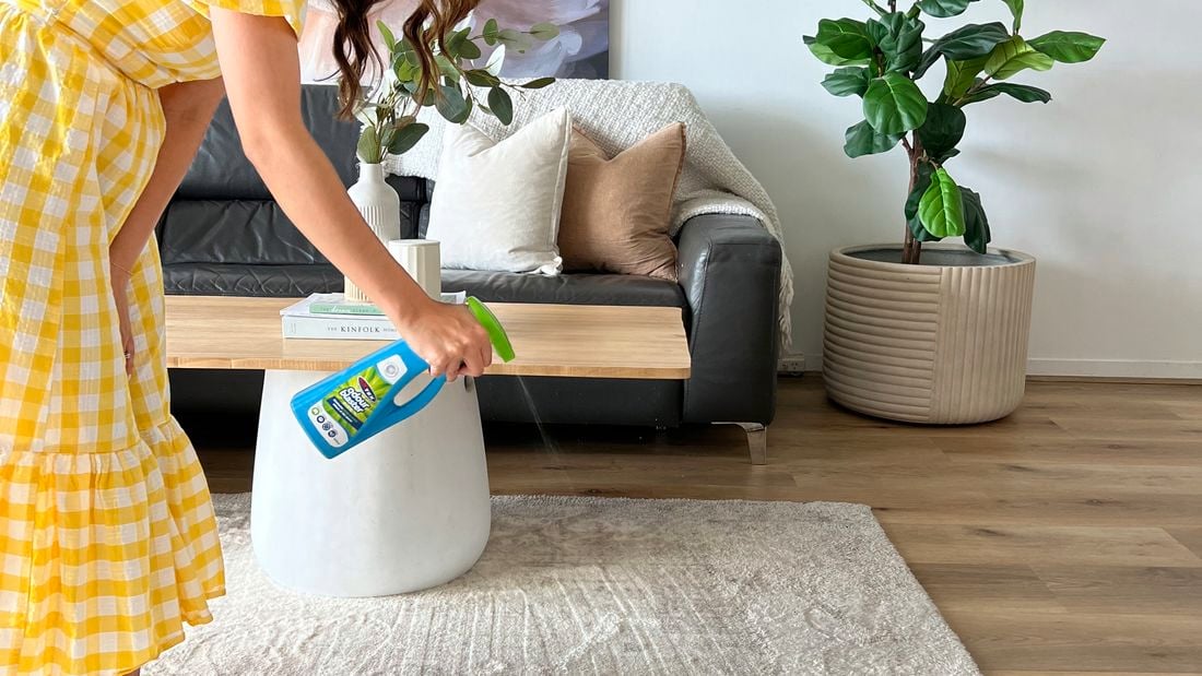 Woman cleaning a chair in living room 