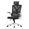 Oikiture Mesh Office Chair D-Shape White&Black