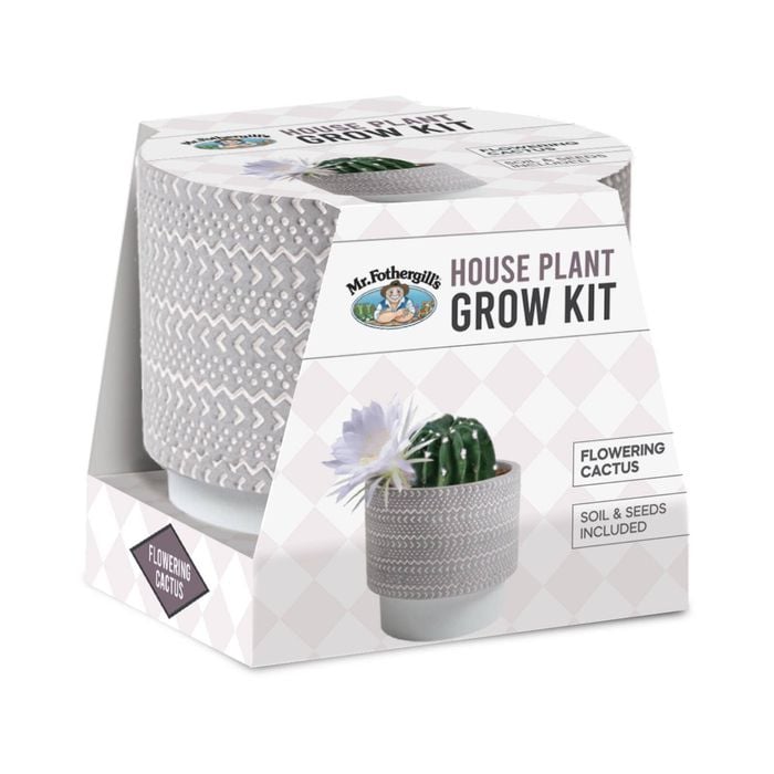 Mr Fothergill's House Plant Grow Kit - Flowering cactus