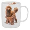 Ashdene Puppy Love Mug