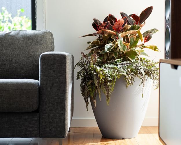 A plastic self watering pot in a living room.