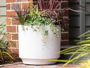 Red brick pillar with white pot plant sitting in front with assortments of  plants.