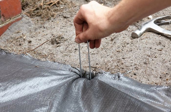 Weed matting being pegged down with metal pegs to hold it in place