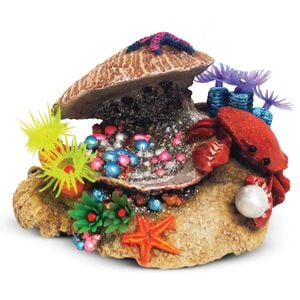 Kazoo Clam W/soft Coral & Crab (18942)
