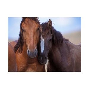 Artey | Lovers - Stretched Canvas - Stretched Canvas - 45 x 60cm