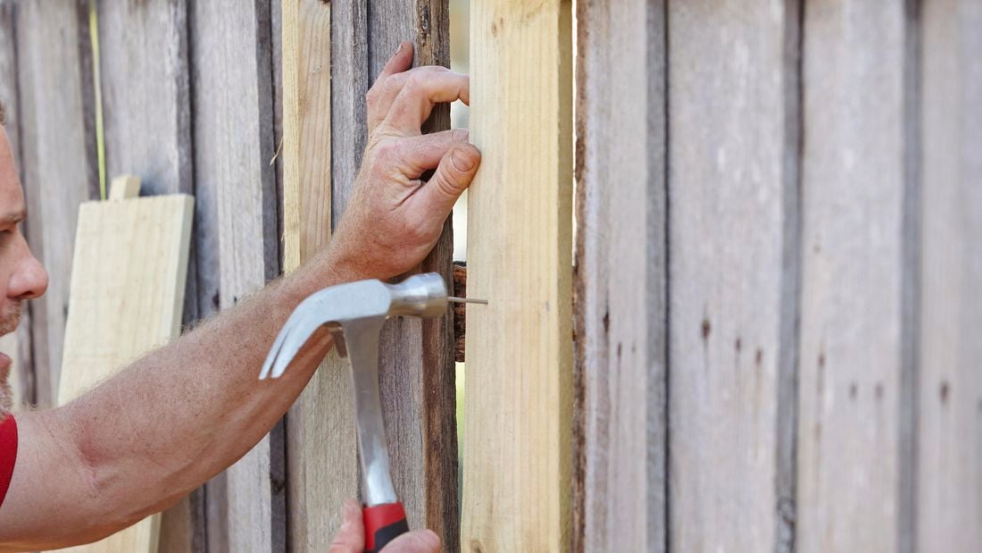 A new fence paling being nailed to the fence with a hammer and nail