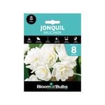 Bloomin' Bulbs Jonquil Erlicheer - Narcissus jonquila - 8 Pack