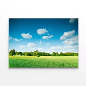 Large Field with Trees under Sky  Print 100% Australian Made 120 x 90cm  (Stretched)