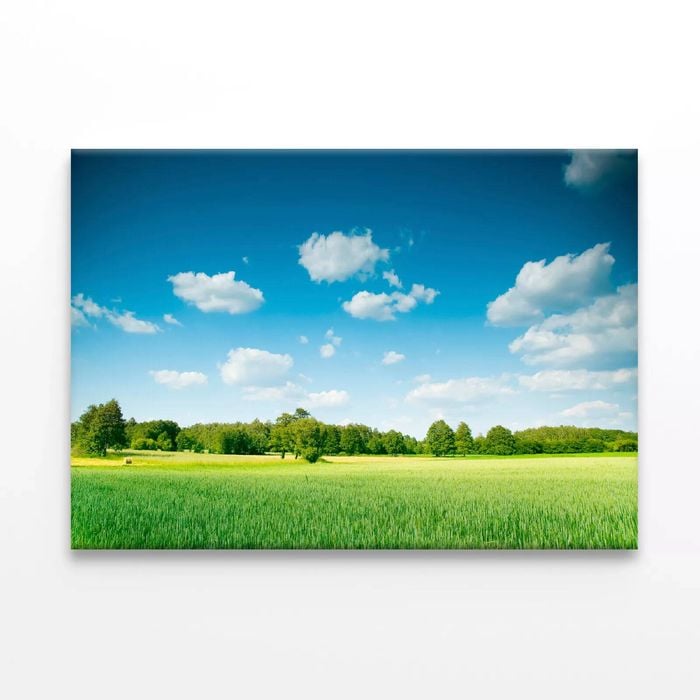 Large Field with Trees under Sky  Print 100% Australian Made 120 x 90cm  (Stretched)