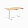 Desky Dual Melamine Sit Stand Desk White Frame 120cm