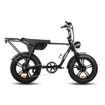 Fatfish Biggie 20AH Fat Tyre E-Bike Black