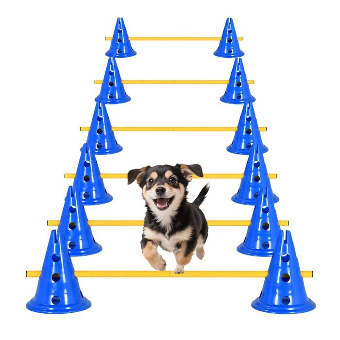 Advwin Dog Agility Hurdle Cone Set 6 Set Dog Agility Set