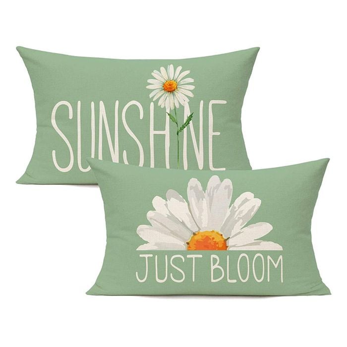 Catzon 2 Pcs Summer Lumbar Pillow Covers Linen Pillowcase for Home Decor-Set 26