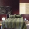 Rapee Faux Silk Coverlet Set Zig Zag Sage - Queen