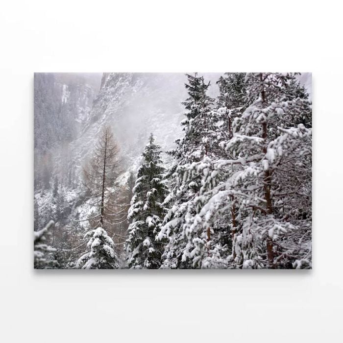 The First Big Snowfall of winter   Print 100% Australian Made 120 x 90cm  (Stretched)
