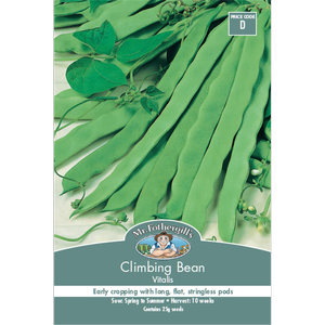 Mr Fothergill's Vitalis Climbing Bean Vegetable Seeds