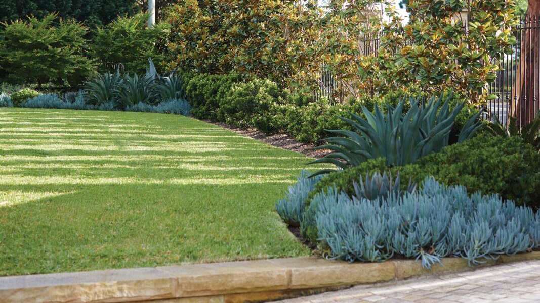 A neatly trimmed lawn surrounded by an array of green plants and bushes