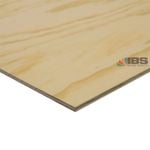 IBS Mini Panels 1200 x 1200 x 7mm CD Untreated Plywood