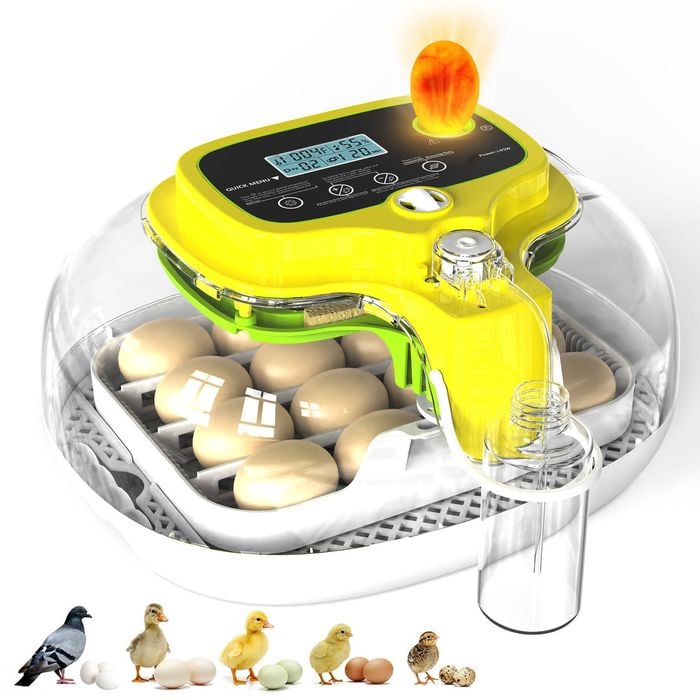 Advwin Automatic Incubator 16 Egg Hatching Digital Turning Hatcher Chick Duck Poultry