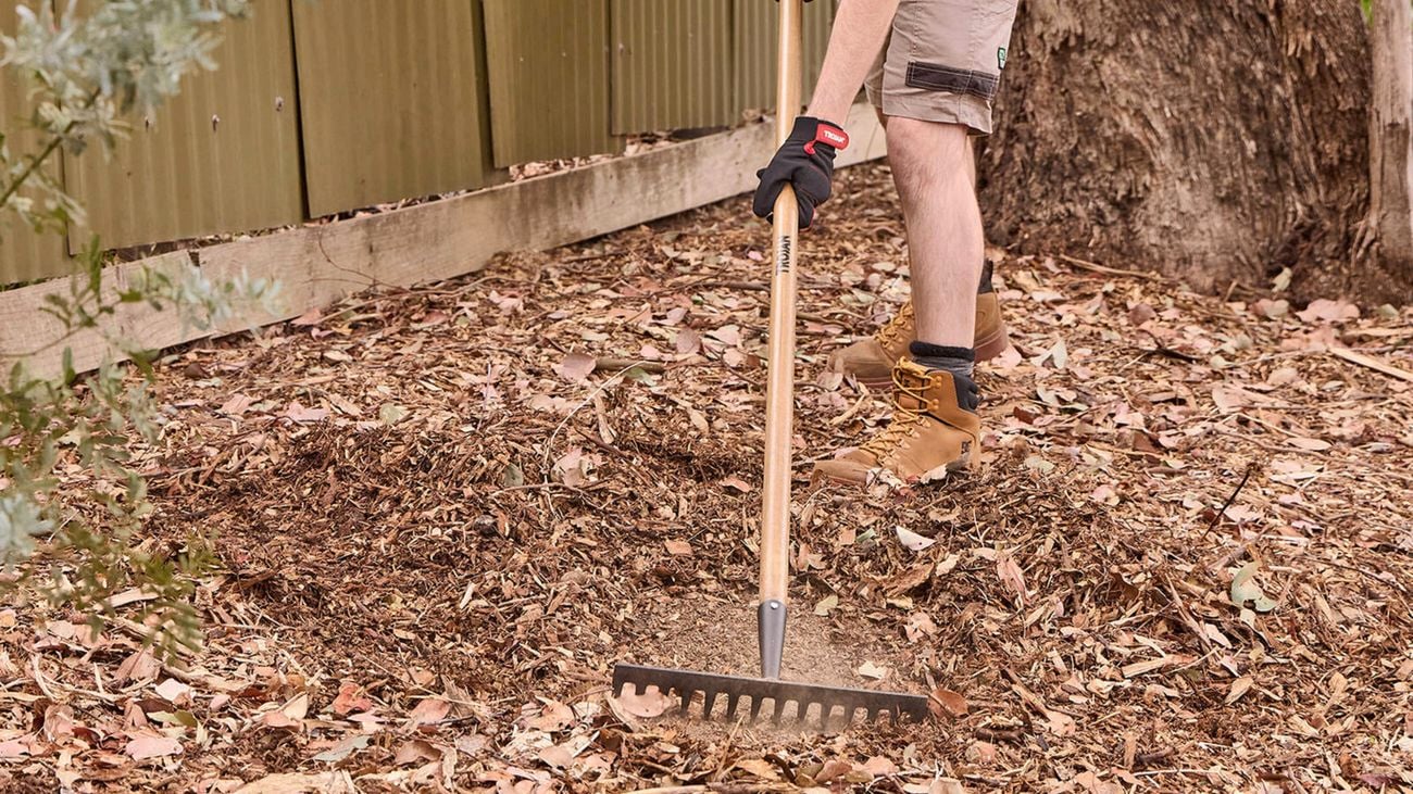 Raking fallen leaves in a garden as part of autumn gardening jobs and compost preparation