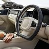 Australian Goose Steering Wheel Cover for Audi e-tron 2018 - Current (GT) D-shape Black