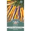 Mr Fothergill's Carrot Harlequin Seeds