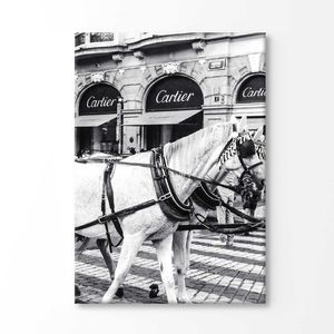 Black And White Horse with Fashion Store Print 100% Australian Made 120x90cm (Stretched Canvas)