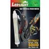 AFN Underwater 1000lm LED Fishing Light Lamp For Squid Prawn
