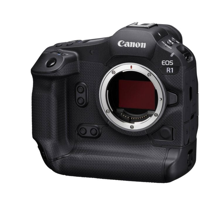 Canon EOS R1 Mirrorless Camera