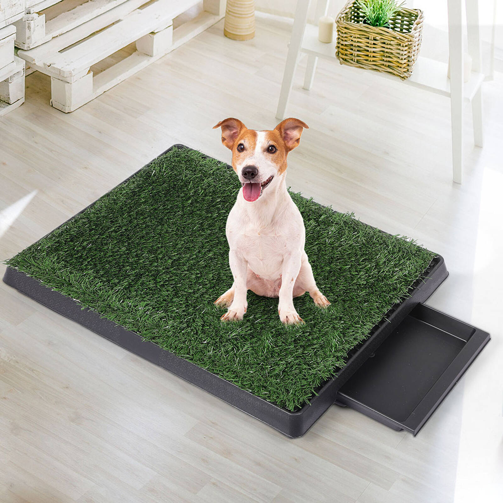 PaWz Indoor Grass Potty with 2 pcs Large Size Grass Bunnings Australia