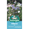 Fothergill's Didiscus Mix Flower Seeds