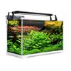 39L Starfire Glass Aquarium Fish Tank - STARFIRE Glass (5mm) | All Water Types | Complete Aquarium Setup