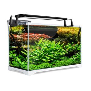 39L Starfire Glass Aquarium Fish Tank - STARFIRE Glass (5mm) | All Water Types | Complete Aquarium Setup