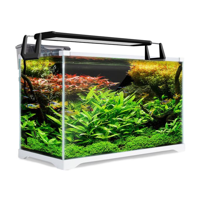 39L Starfire Glass Aquarium Fish Tank - STARFIRE Glass (5mm) | All Water Types | Complete Aquarium Setup