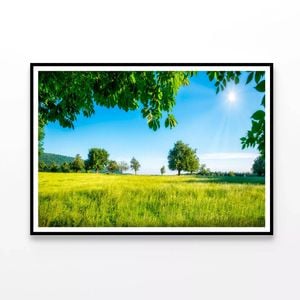 Meadow with Trees in Sunshine  Print 100% Australian Made 120x90cm  (Poster)