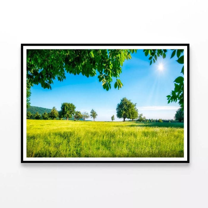 Meadow with Trees in Sunshine  Print 100% Australian Made 120x90cm  (Poster)