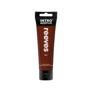 Reeves 100ml Burnt Umber Intro Acrylic Paint