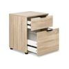 Artiss 2 Drawer Filing Cabinet Office Shelves Storage Drawers Cupboard Wood File Home