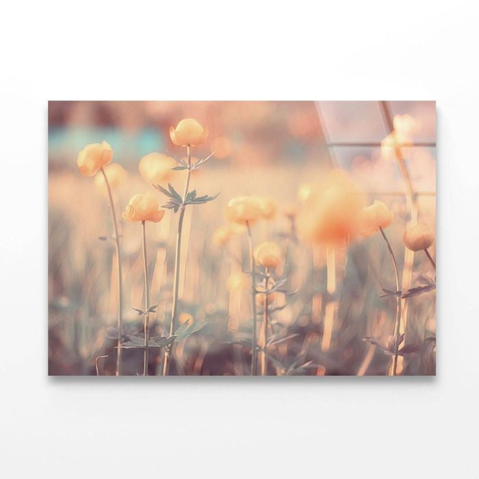 Spring or Summer Flowers   Print 100% Australian Made 150 x 100cm  (Acrylic)