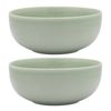2PK Ecology Element 20cm Stoneware Laksa Bowl Round - Dew