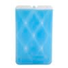 Esky Ice Brick Large Slim