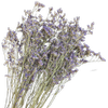 Blooms Of Joy 70cm Purple Limonium Flowers