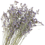 Blooms Of Joy 70cm Purple Limonium Flowers