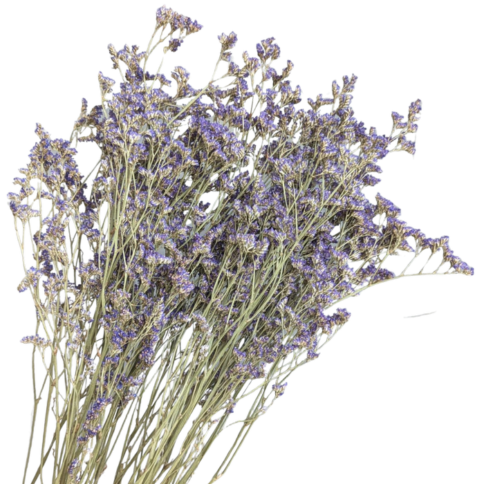 Blooms Of Joy 70cm Purple Limonium Flowers