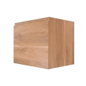 Stein 600 x 450 x 500mm Light Select Wall Hung Handleless Vanity - Cabinet Only