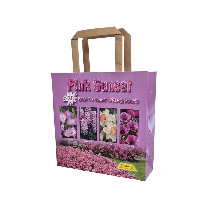 Fiesta Flower Bulbs Pink Sunset Colour Combo - 30 Bulbs