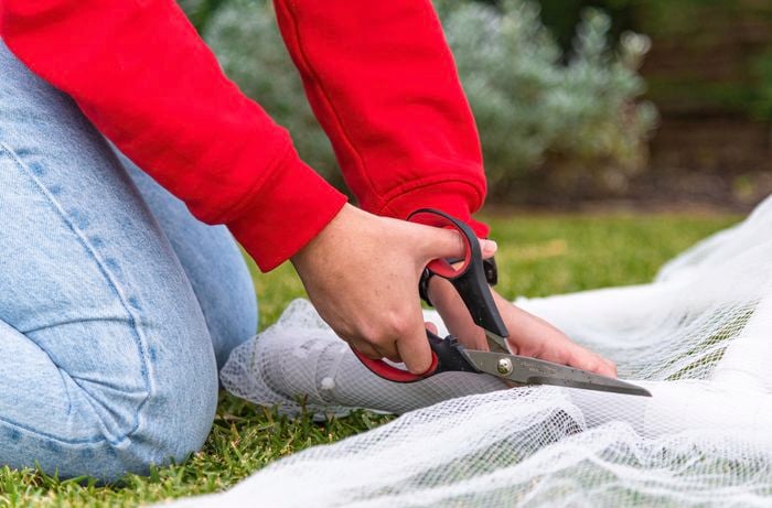 using scissors to cut bird netting